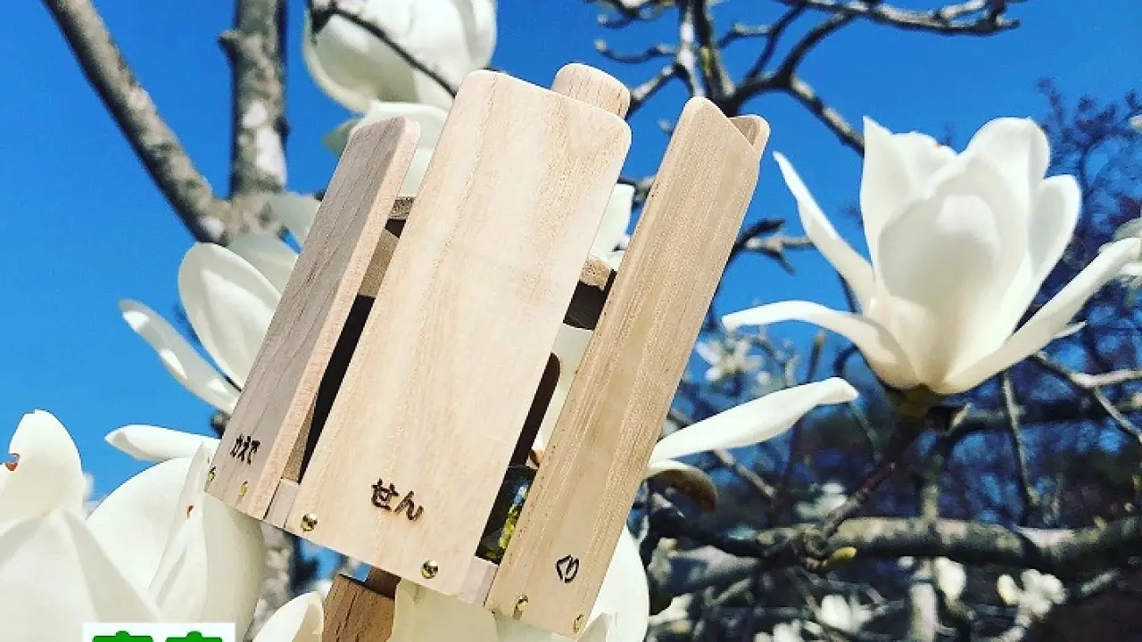 「森音（もね）の森のシロフォン」作り（ランチ付き）