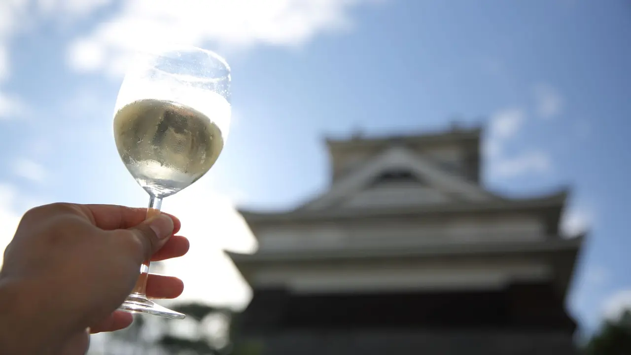 บัตรเข้าชมงาน Yamagata Wine Bal 2025 ล่วงหน้า (บัตรเข้าชมงาน 2 วัน)