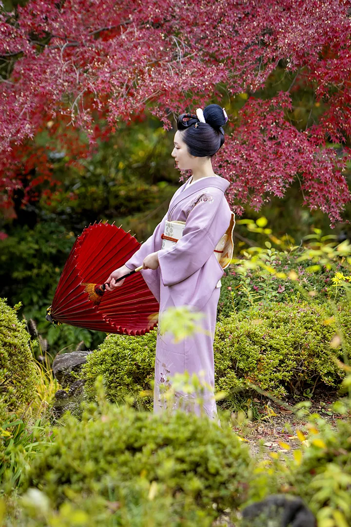 紅葉が美しくて魅入ってしまう・・・