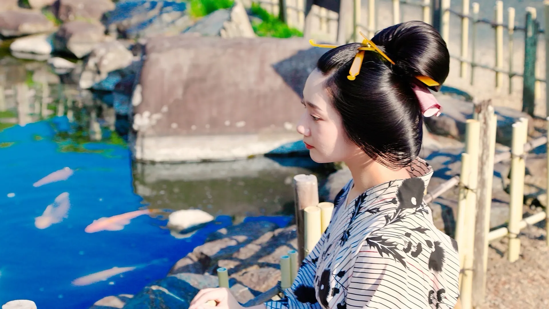 鯉を眺めて癒しの時間・・