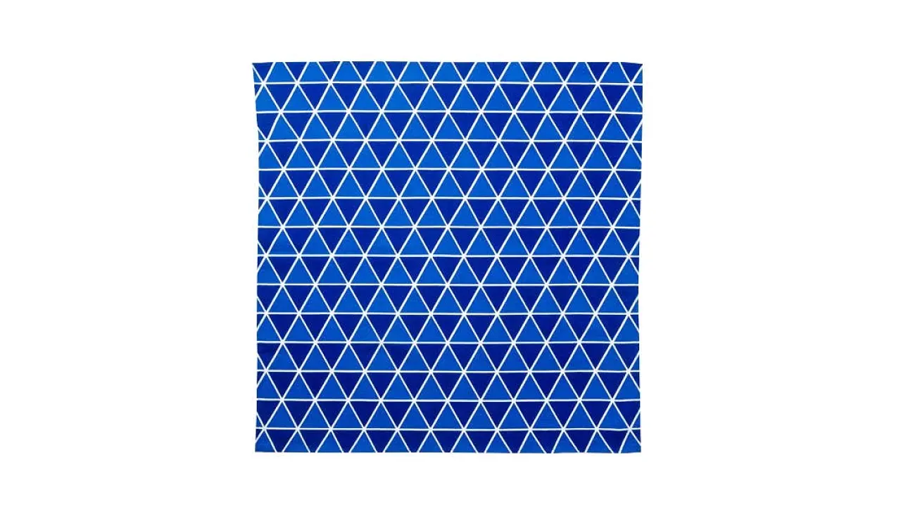 Nagakan 2天深度技術染色課程