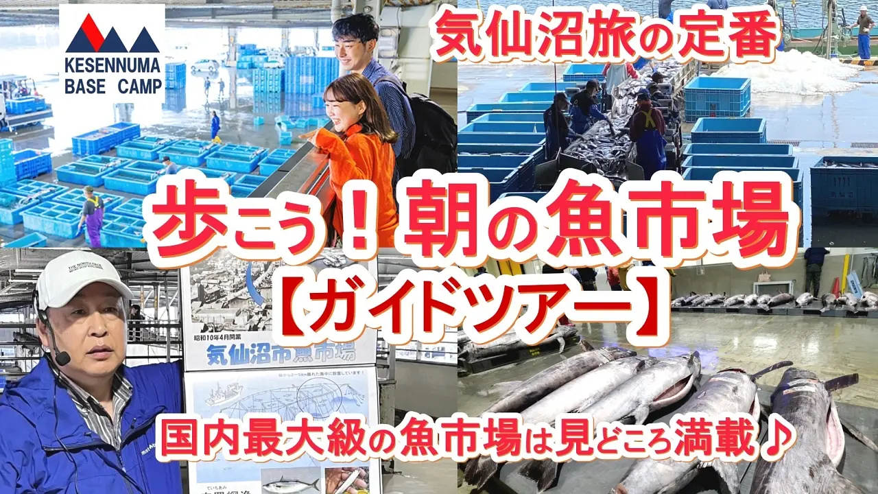 歩こう！朝の魚市場（ガイドツアー）