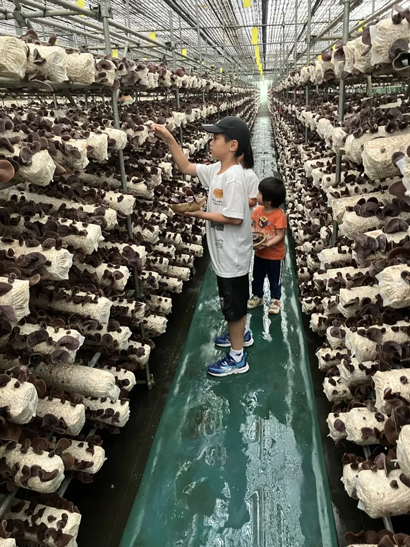 モリモリ収穫！