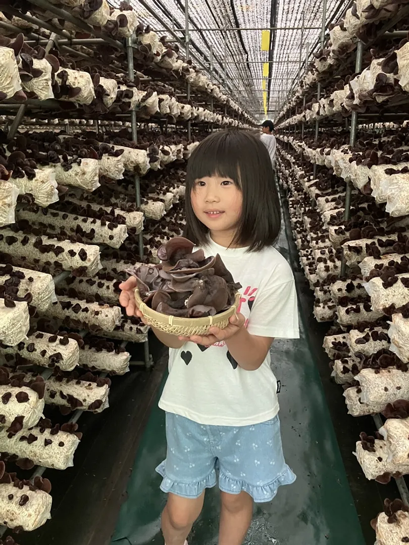 こんなに採れたよ！