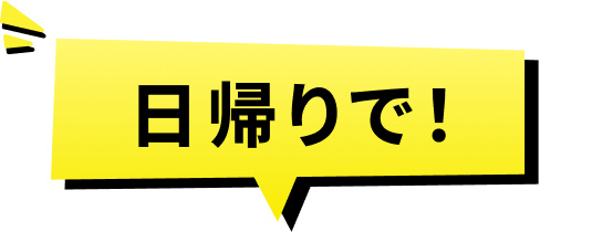 日帰りで!