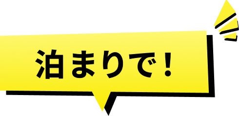 泊まりで!