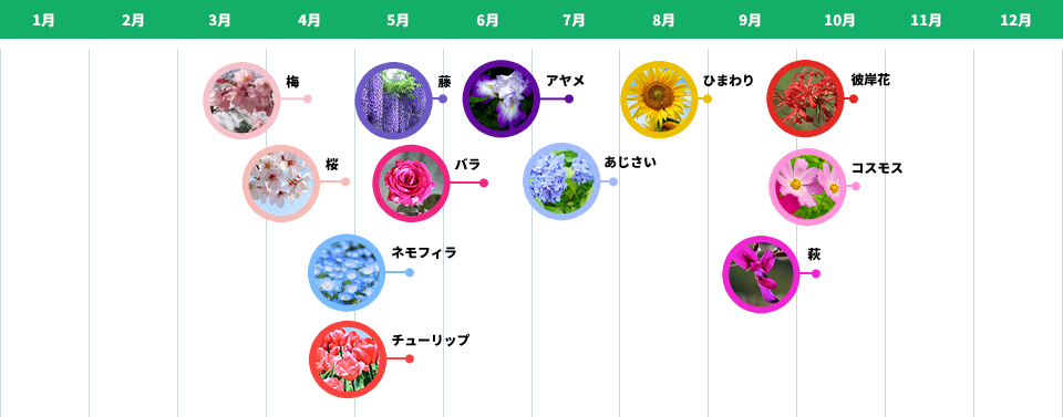 仙台の花ごよみ