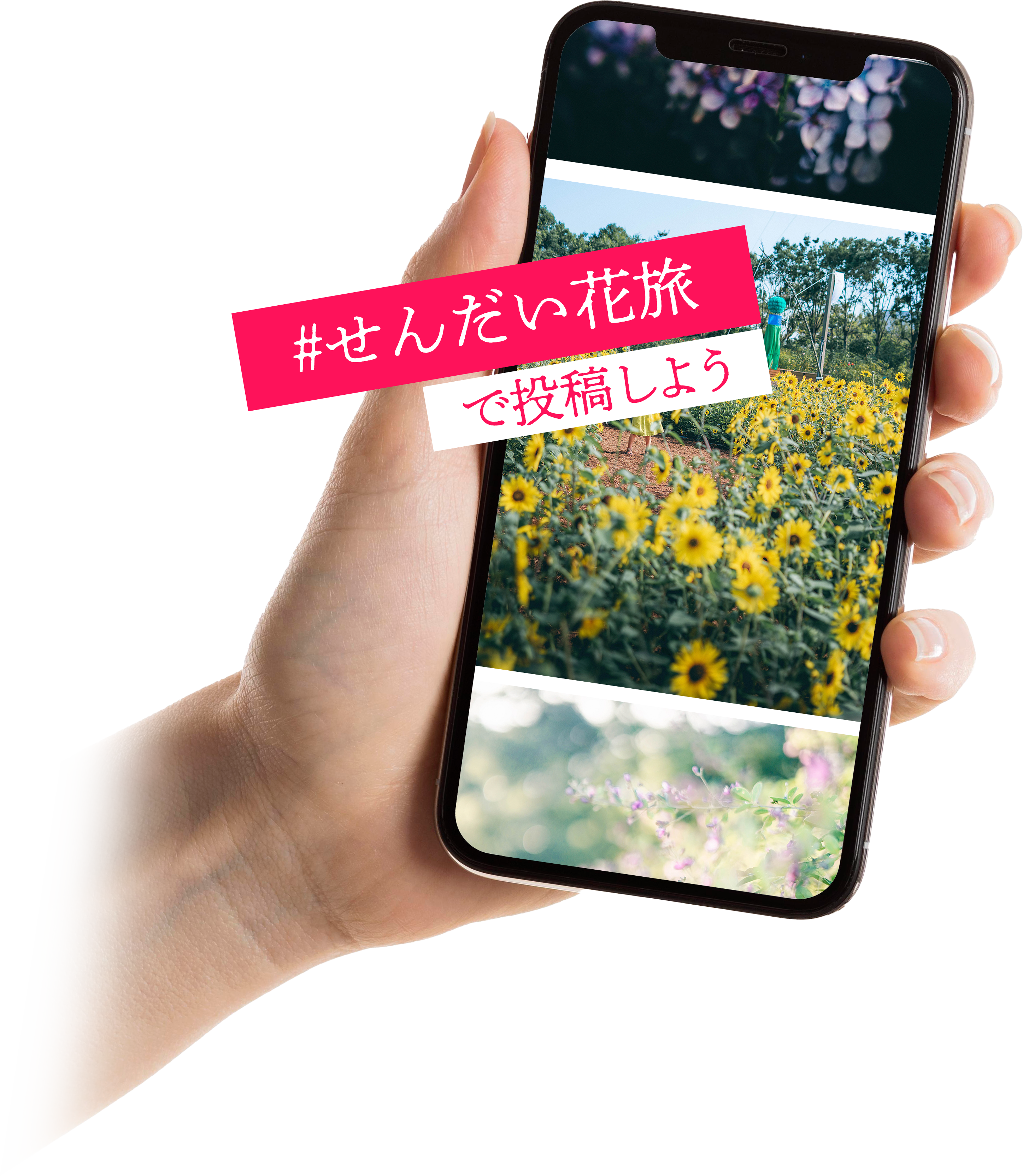 写真家 清水春花さん