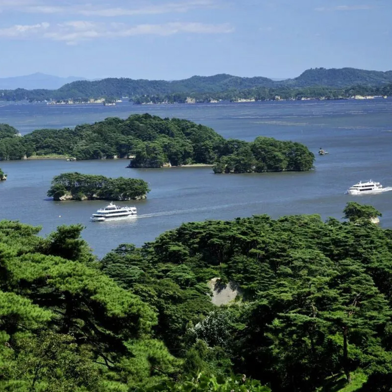 定番モデルコース