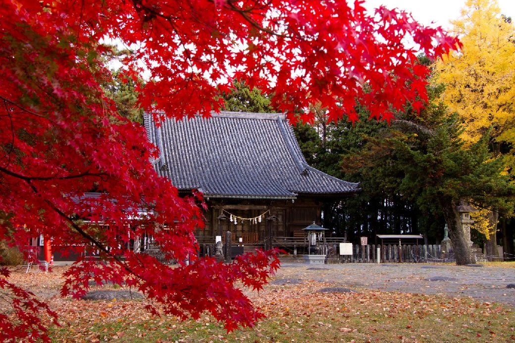 の様子