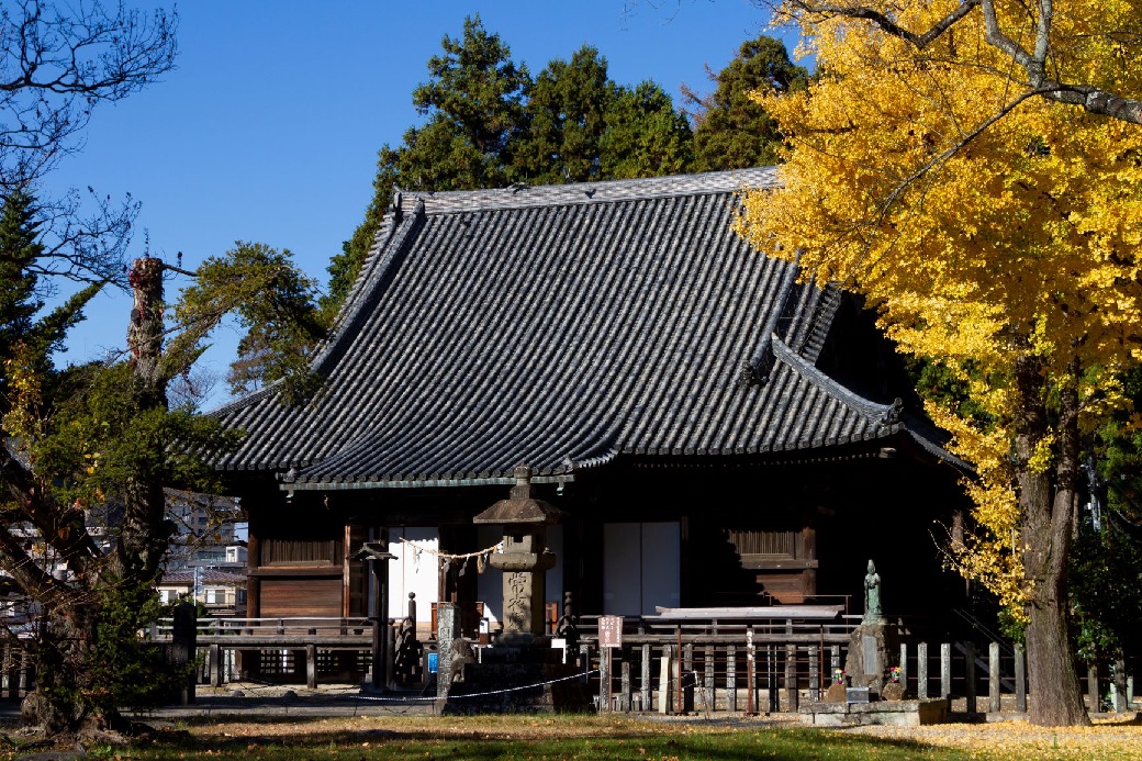 の様子
