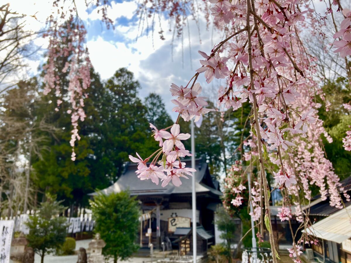 秋保神社の様子