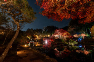 アキウルミナ2025　-AKIULUMINA-光のもり2025